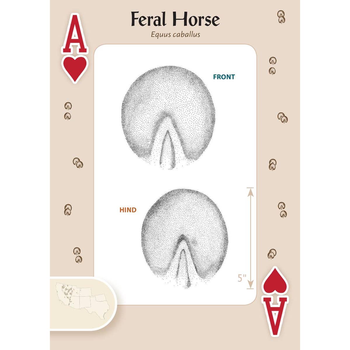 Animal Tracks of the Southwest Playing Cards
