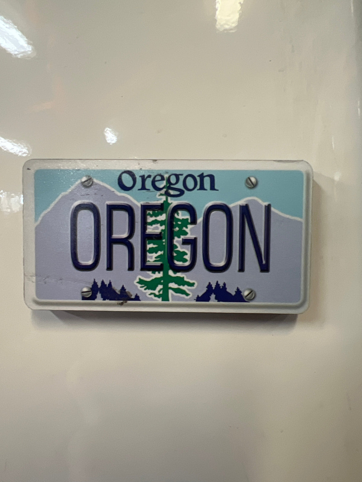 Oregon License Plate Magnet