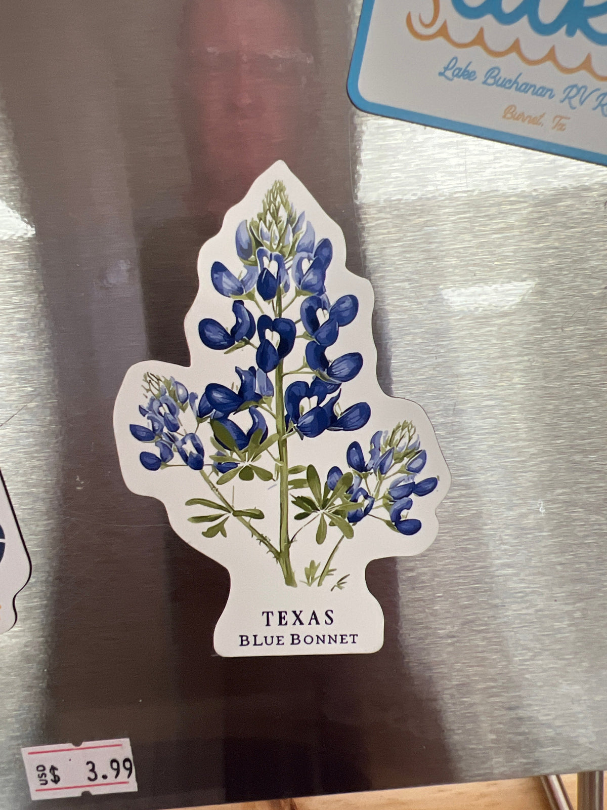 Texas Blue Bonnet Magnet