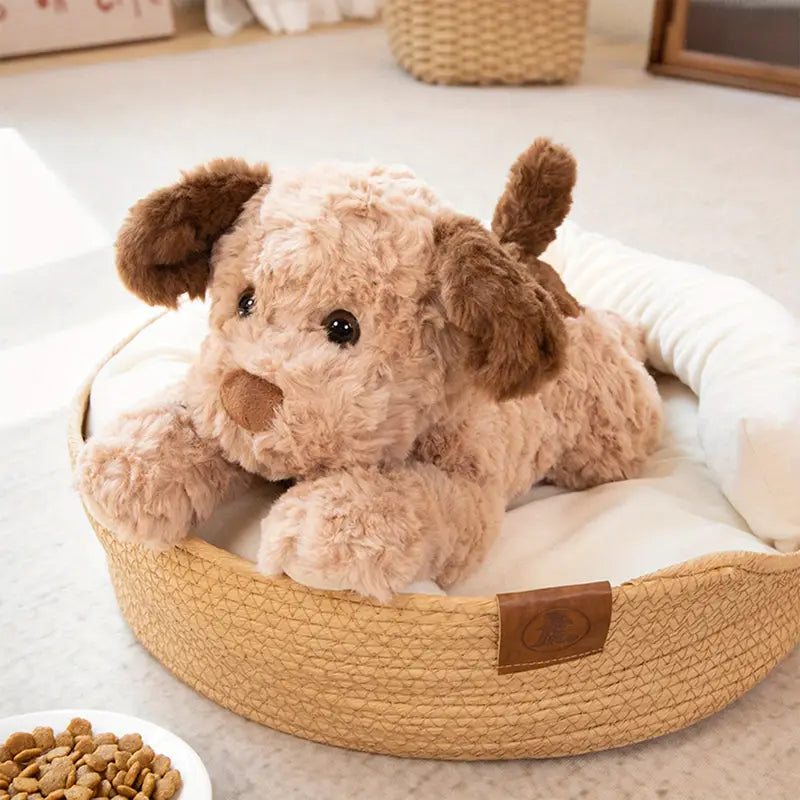 Stuffed Doggie