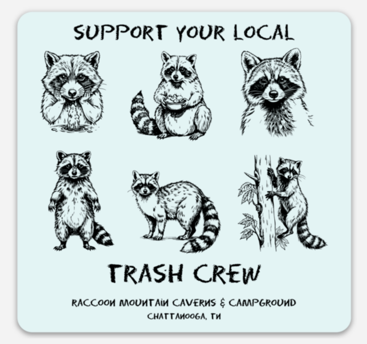 Support Your Local Trash Crew Raccoon Mountain Magnet