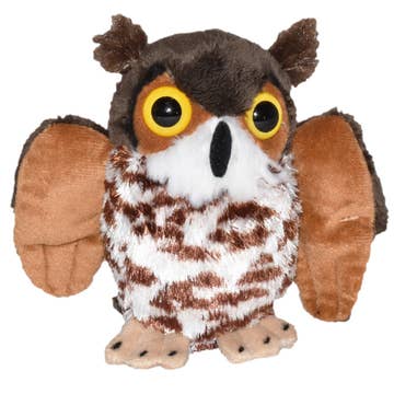 Stuffed Owl