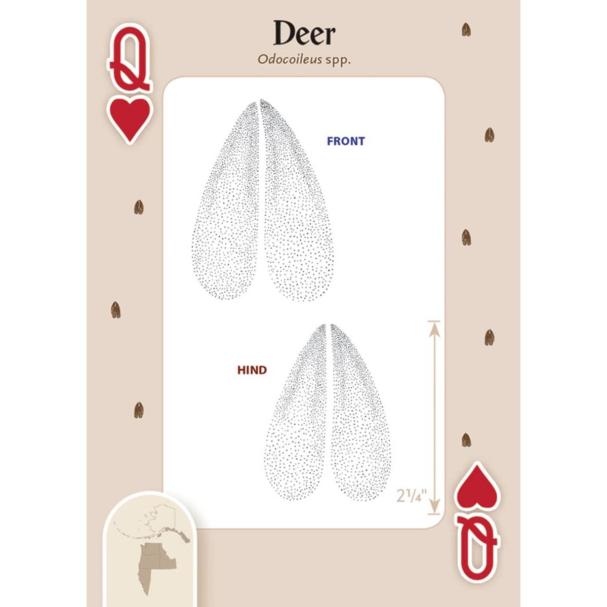 Animal Tracks of the Northwest Playing Cards