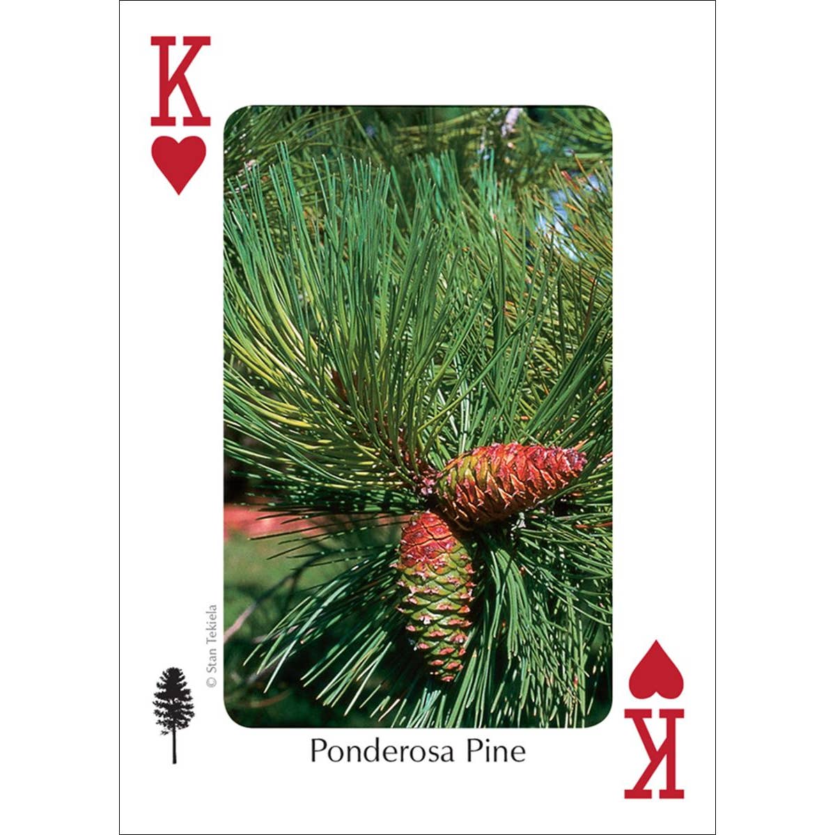 Trees of the Northwest Playing Cards