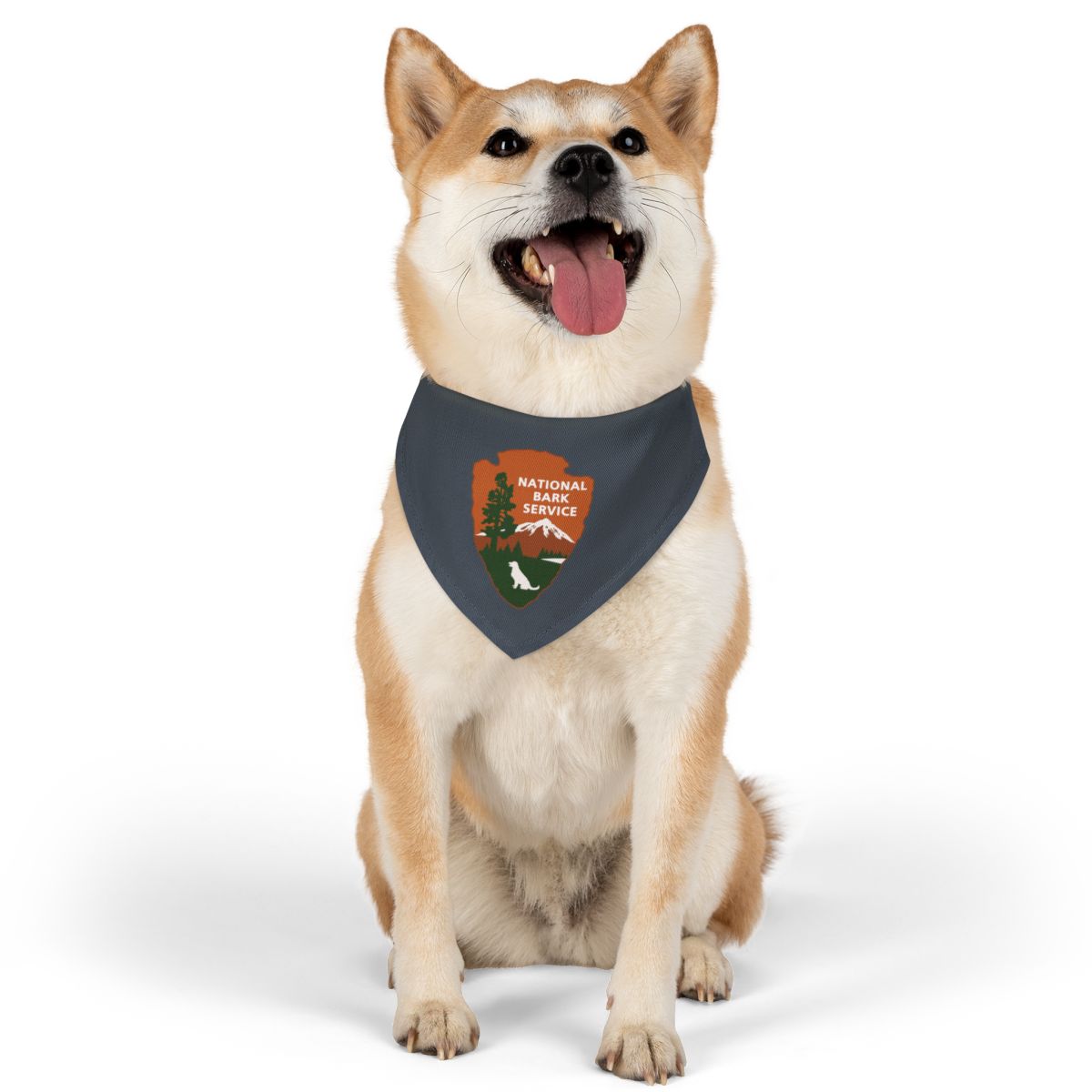 National Bark Service Dog Collar + Bandana (Copy)