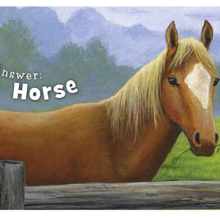 Little Texas Children's Board Book