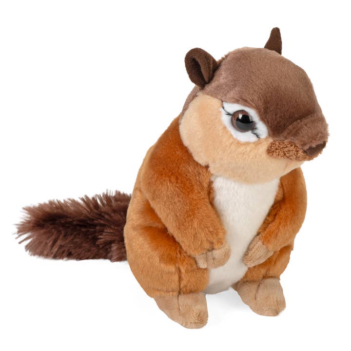 Stuffed Animals