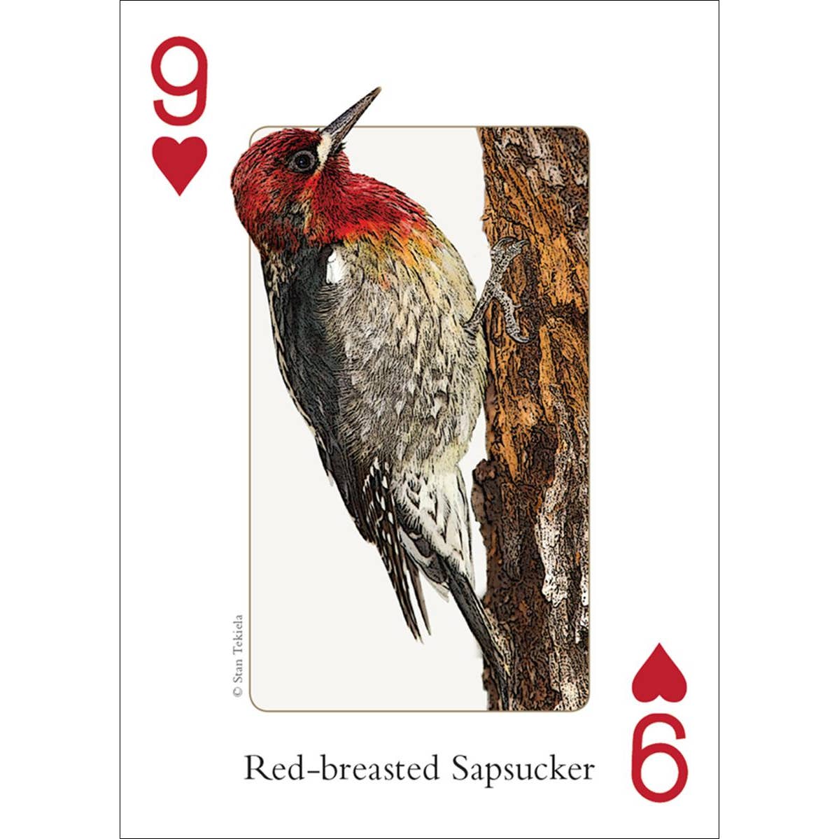 Birds of the Northwest Playing Cards