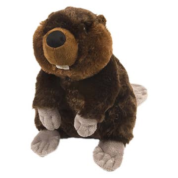 Stuffed Beaver