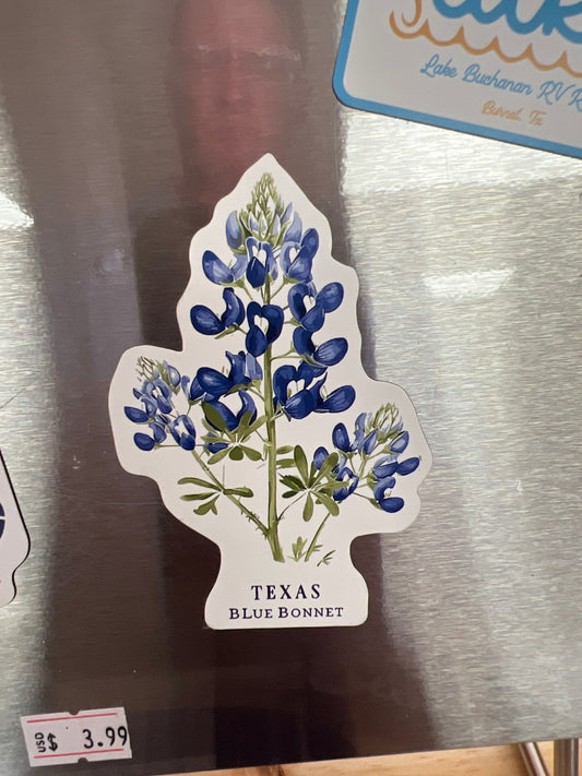 Texas Blue Bonnet Magnet