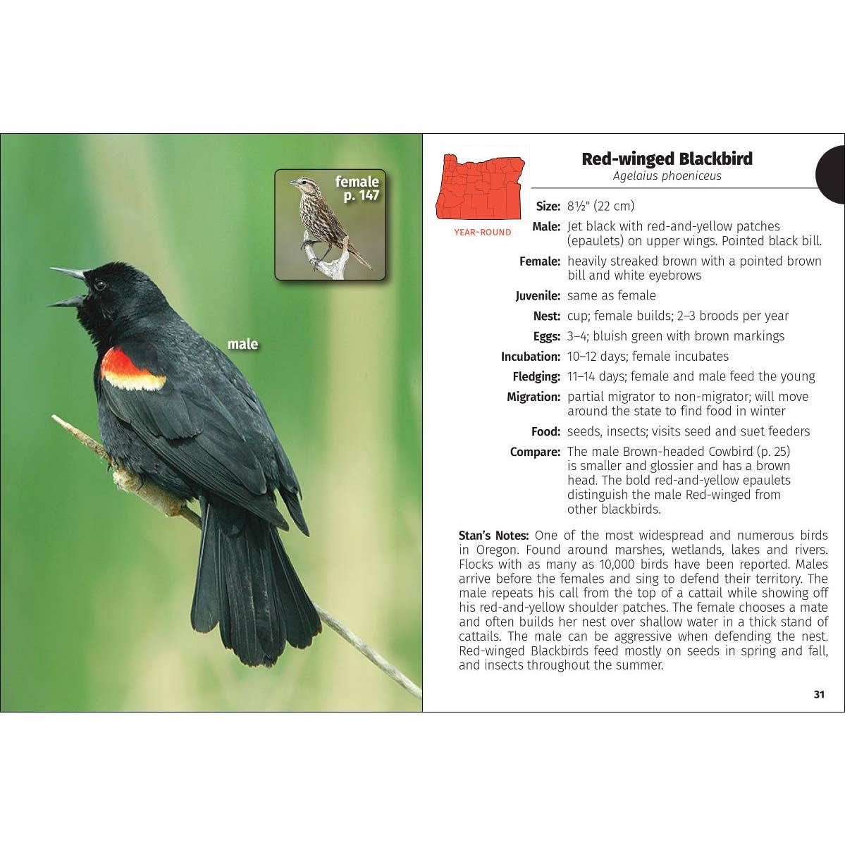 Birds of Oregon Field Guide