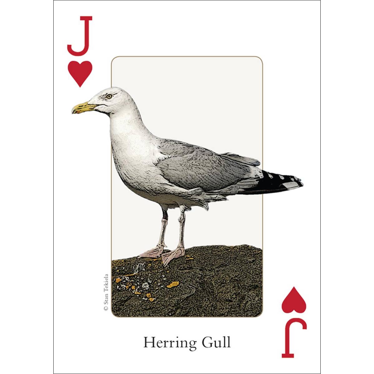 Birds of the Northwest Playing Cards