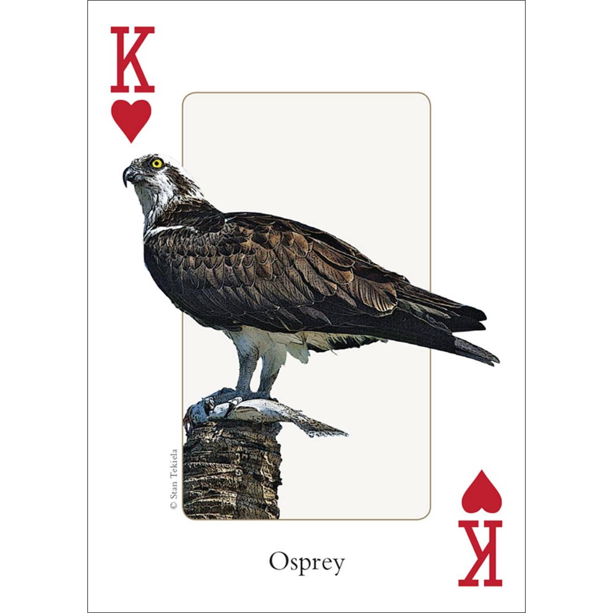 Birds of the Southeast Playing Cards