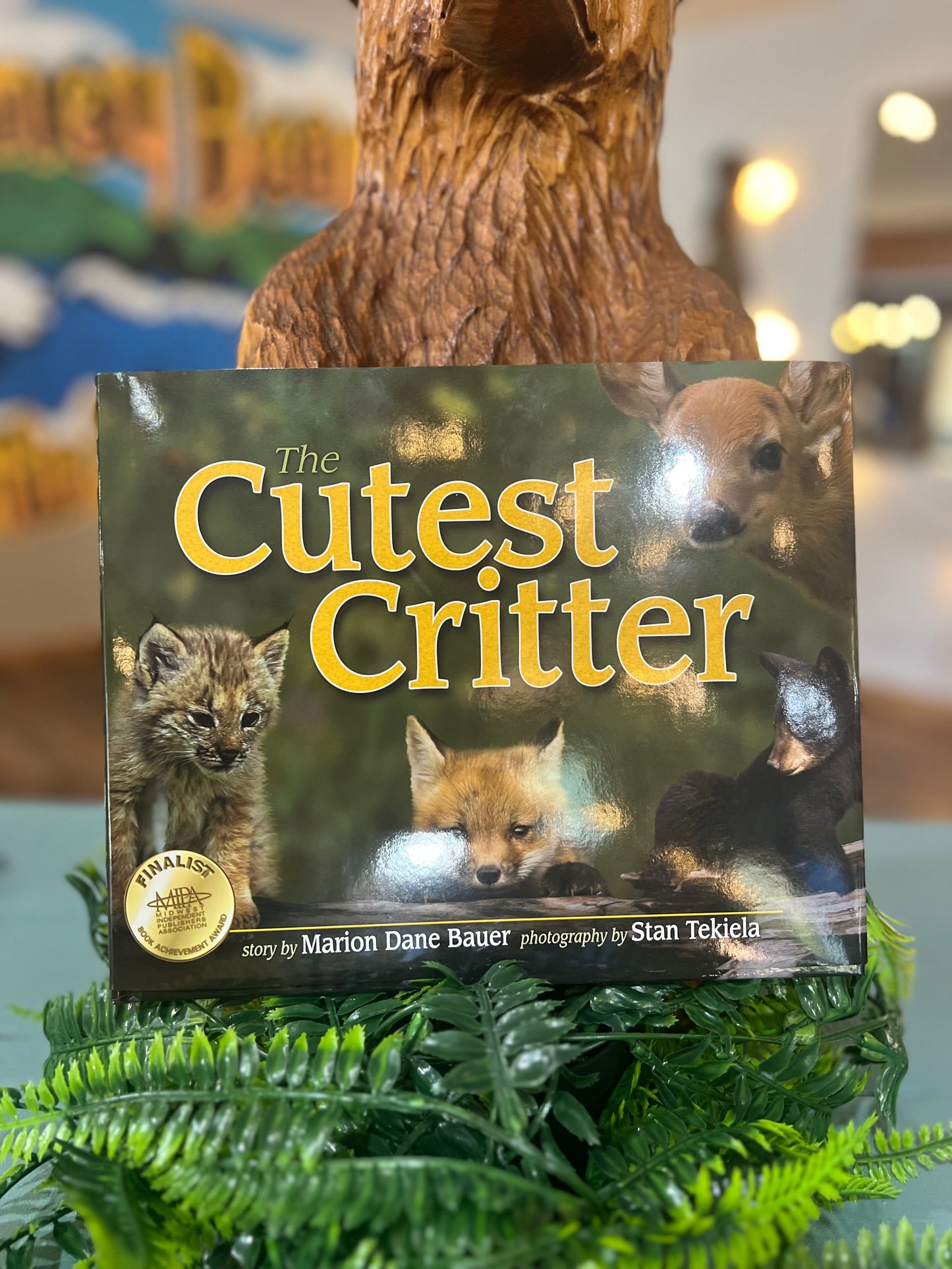 Cutest Critter Children's Book