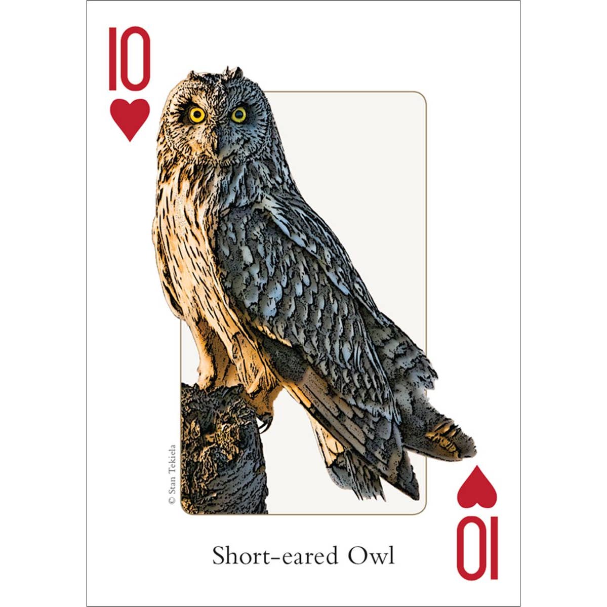 Birds of the Northwest Playing Cards