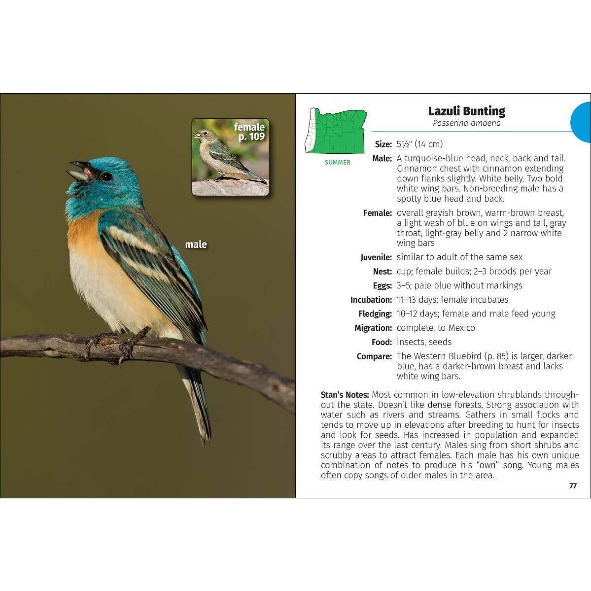 Birds of Oregon Field Guide