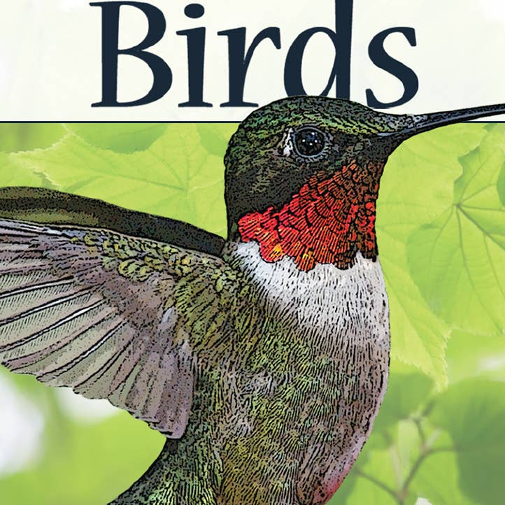 Birds of the Southeast Playing Cards
